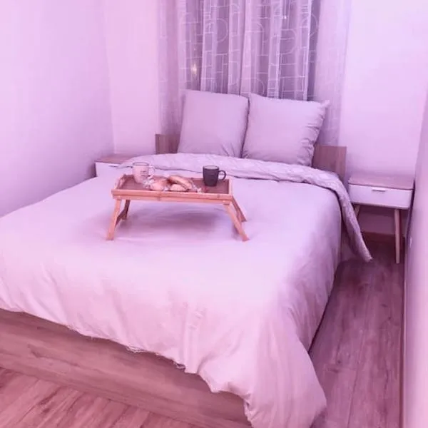 Superbe Appartement tout équipé, Le nid d'Eva à Metz Gare, Parking privé, Balcon, F2, 50m2, 3p，位于梅斯的酒店