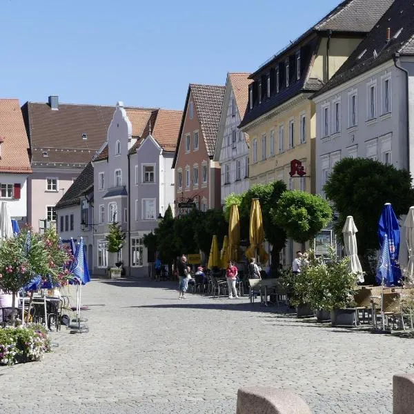 Hotel Hirsch Günzburg，位于金茨堡的酒店