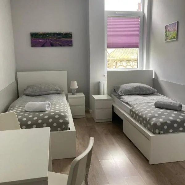 Hostelik Przy Przystanku，位于格雷菲诺的酒店