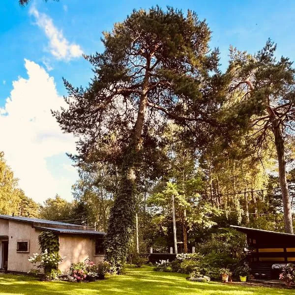 Baltic Sea Cottage，位于尤尔马拉的酒店