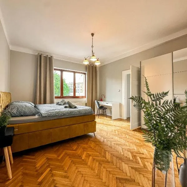 3 room 100m2 City Centrum Kosice，位于科希策的酒店