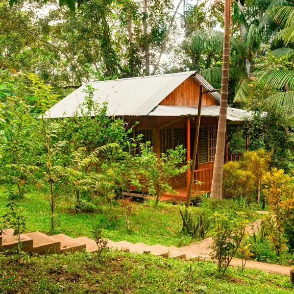 Cabañas Dechi，位于Puerto Nariño的酒店