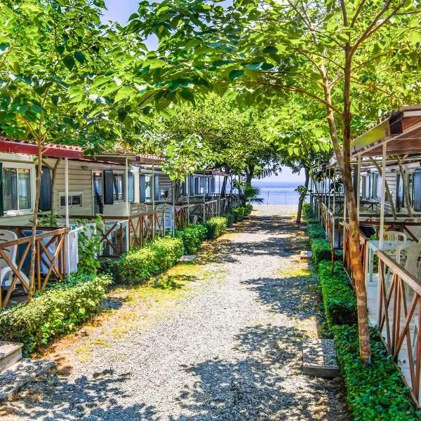 拉弗斯塔斯库拉露营地，位于圣阿莱西奥·希库洛的酒店