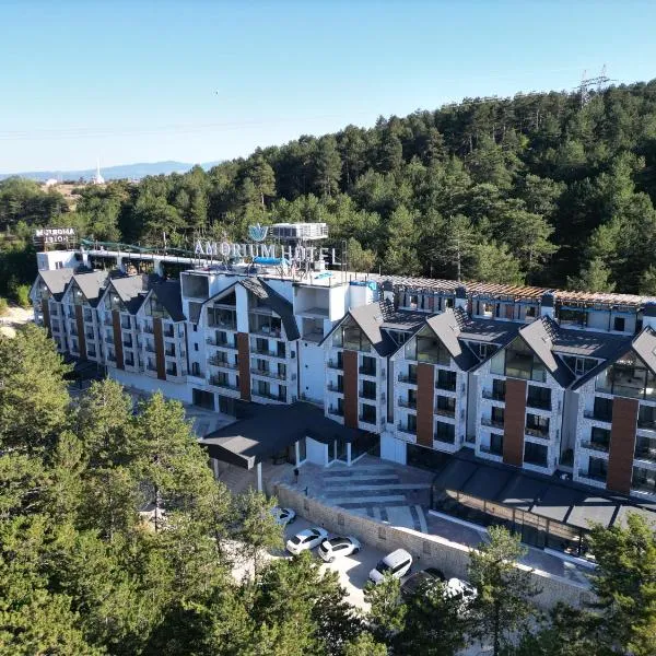 Amorium Hotel & Wooden Stone House，位于卡斯塔莫努的酒店