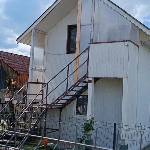 Casa de vacanta Balan，位于Bistriţa Bîrgăului的酒店