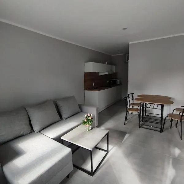 Apartamenty przy jeziorze，位于Drezdenko的酒店