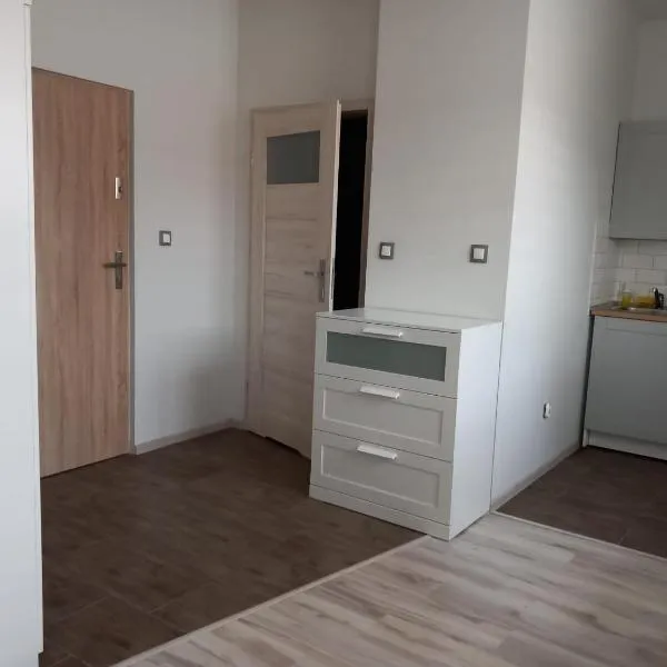 Apartament，位于Ścinawka Górna的酒店