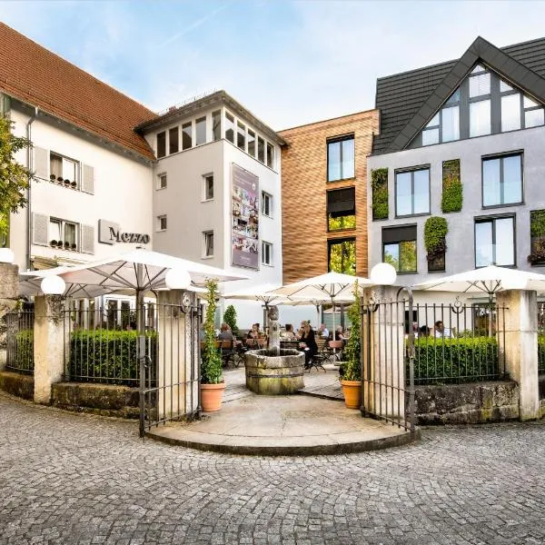 Schwanen Boutique Hotel & Restaurant Metzingen，位于梅青根的酒店