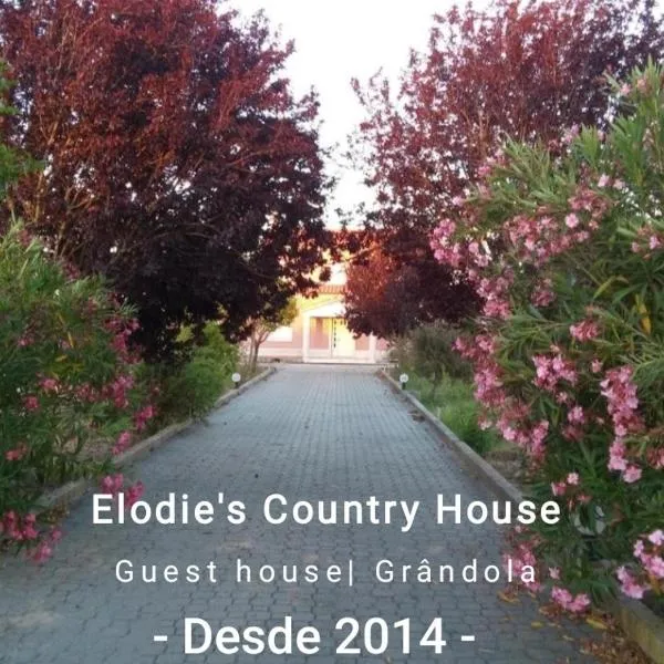 Elodie's Country House - Alojamento Local，位于Caniceira的酒店