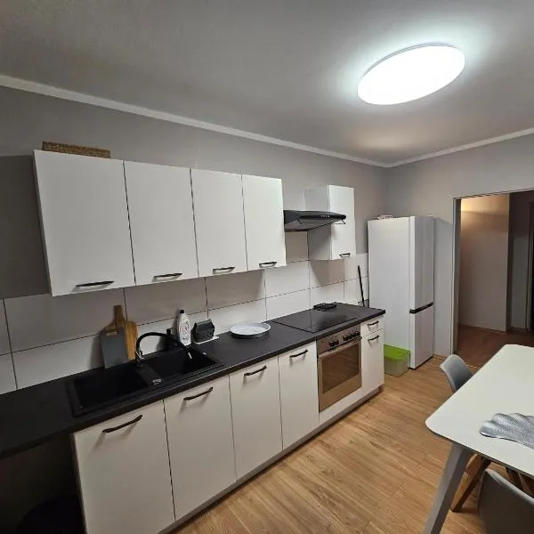 Apartament w Kamienicy w Centrum Kalisza，位于卡利什的酒店