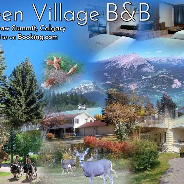 Green Village B&B，位于Bearspaw的酒店