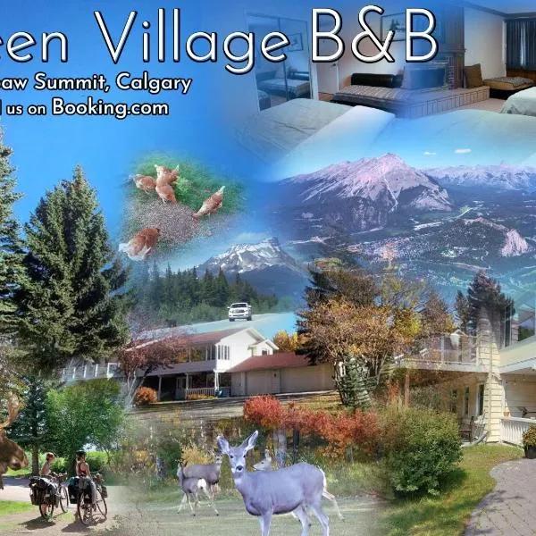 Green Village B&B，位于卡尔加里的酒店