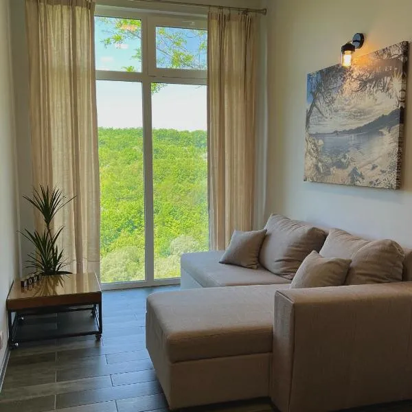 TwinHouse "Family Estate"，位于卡缅涅茨-波多利斯基的酒店