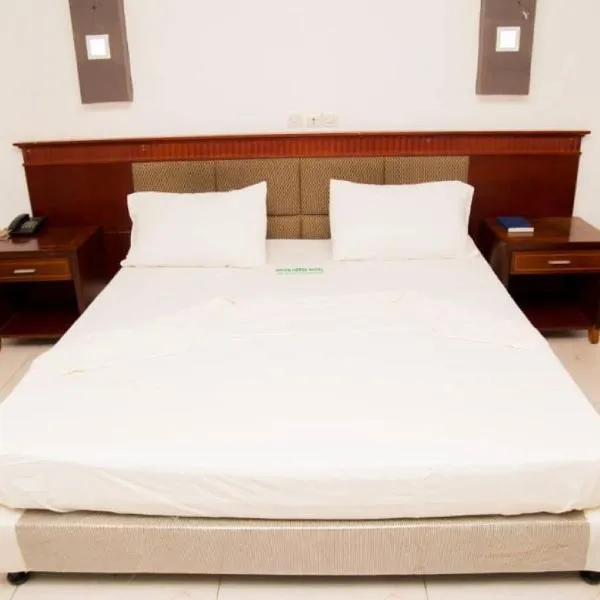 New Green Horse Hotel，位于科托努的酒店