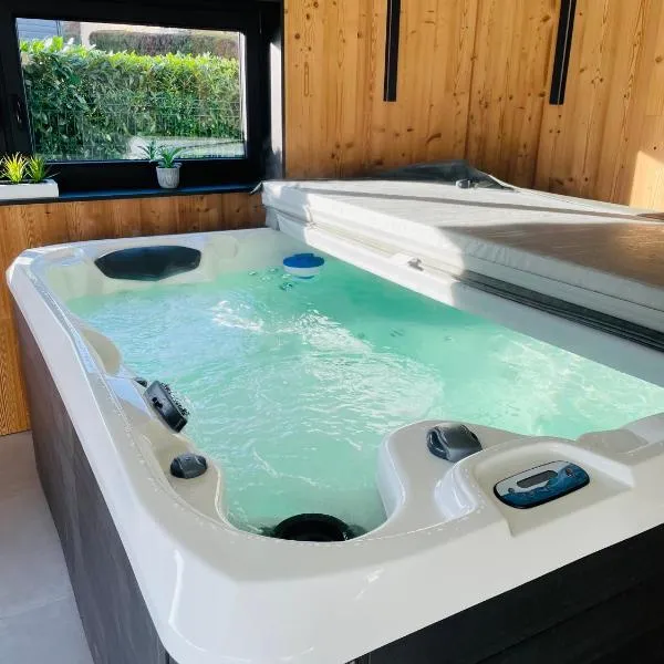 Maison Gite Chez Nounou sauna jacuzzi jardin arboré，位于萨尔格米纳的酒店