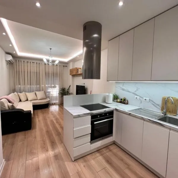 Tirana modern one bedroom Apartment，位于Kashar的酒店