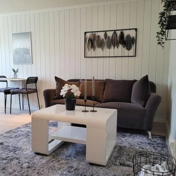 Riverside apartment in Skien，位于Herum的酒店