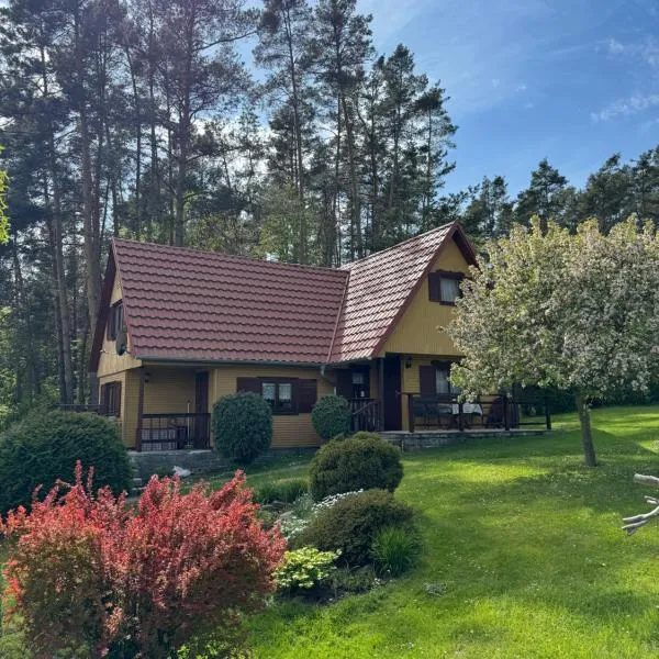 Chata u lesa，位于Horní Lukavice的酒店