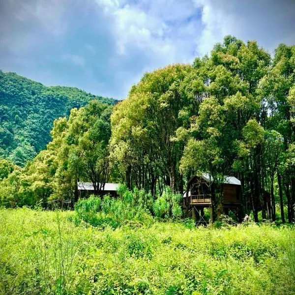 Kanopea Forest Lodge,位于圣贝努瓦的酒店