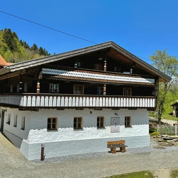 Waldlerhof，位于Patersdorf的酒店