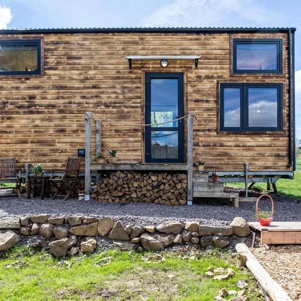 Tiny House - Tinyinn No1，位于Hochwaldhausen的酒店