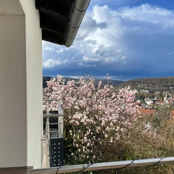 Ferienhaus Chalet Andante，位于汉恩明登的酒店