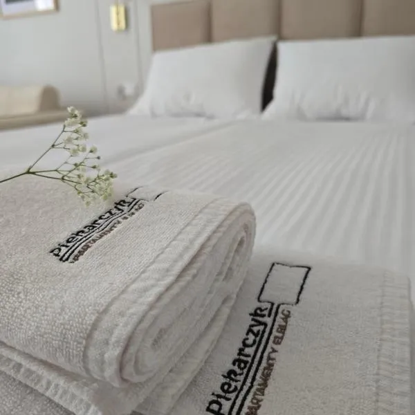 Apartamenty Piekarczyk - OLD TOWN Elbląg - No Air Conditioning，位于埃尔布隆格的酒店