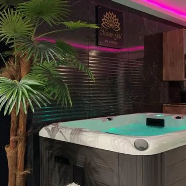 Murano Gold Gîte avec SPA & SAUNA Privatif，位于朗德雷蒂安勒北的酒店