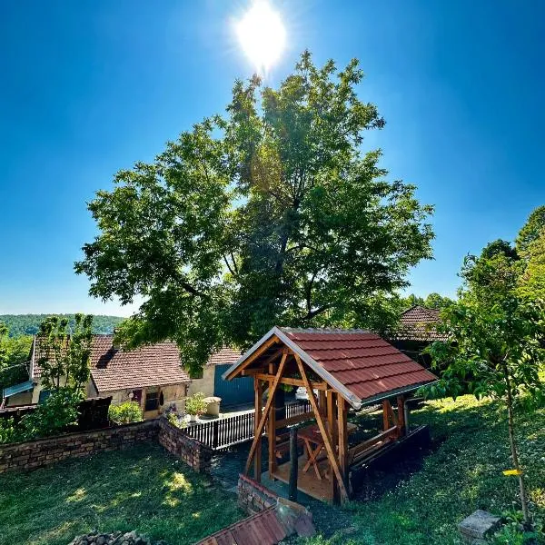 Seosko turističko domaćinstvo DUNJA，位于Boljevac的酒店