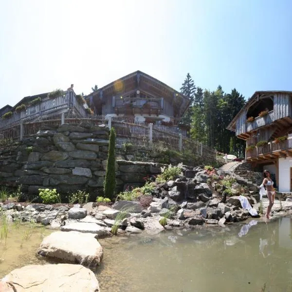 Schönblick Hohenbogen，位于诺伊基兴的酒店