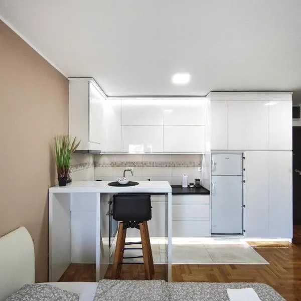 Apartman NS CENTAR City，位于诺维萨德的酒店