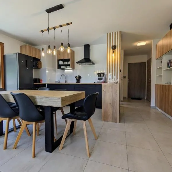 Spacieux appartement au pied des pistes，位于拉菲克拉的酒店