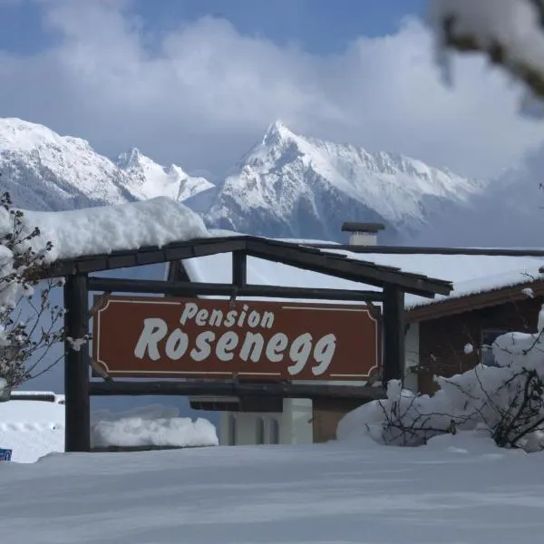 罗森埃格酒店，位于弗林肯贝格的酒店