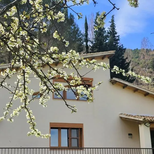 CASA MONTEPINAR，位于卡索拉的酒店