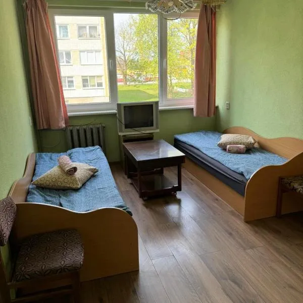 Chernobyl type rooms in a block flat house，位于Bitaičiai的酒店