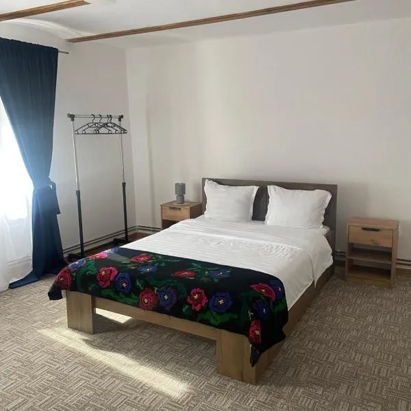 Casa de Vacanta FAMILY & FRIENDS，位于Criţ的酒店