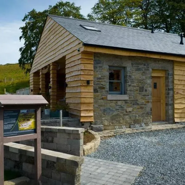 Cosy 1-Bed Cabin in Ballynahinch，位于Crossgar的酒店