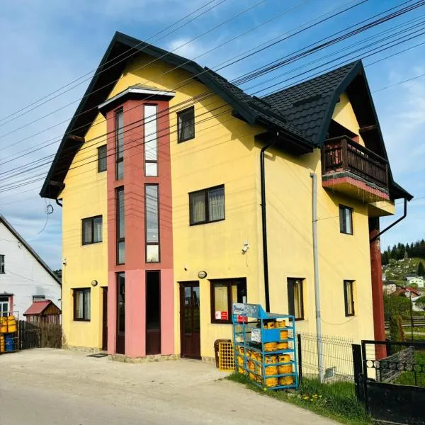 Casa Edi，位于Lunca Ilvei的酒店