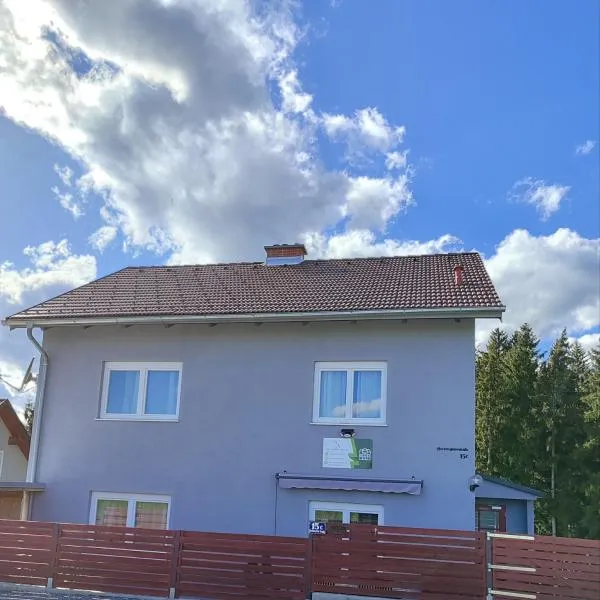 Sigi Apartment，位于Barnbäch的酒店