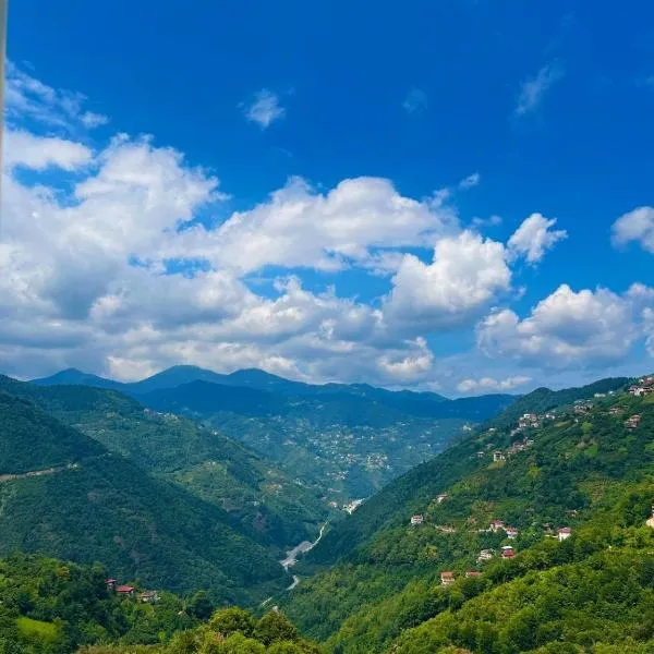 Özçelik Apart，位于Çaykara的酒店