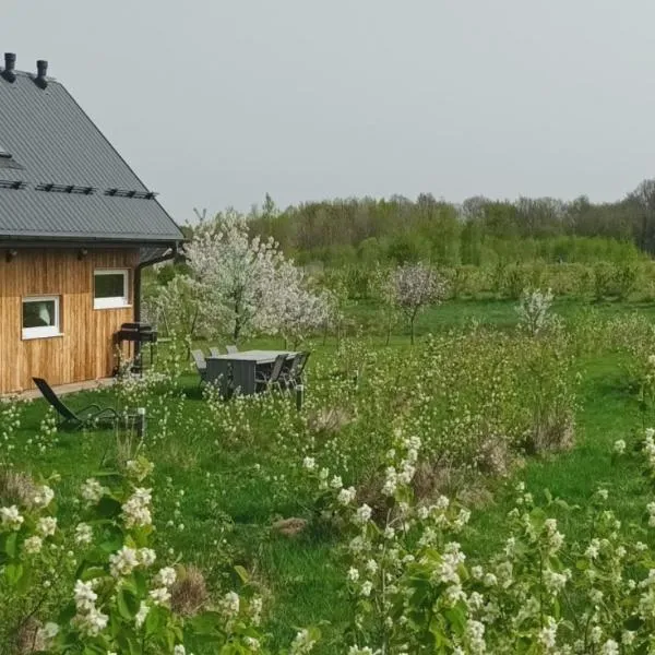 E Berry Farm - Slow life home，位于Olszyna的酒店