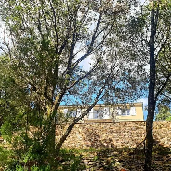 Magnifique villa au cœur des Cévennes，位于Saint-Privat-de-Vallongue的酒店