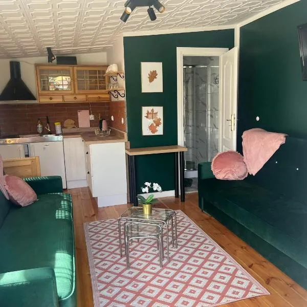 Apartament zielony nad jeziorem PZW Kazub，位于Cieciorka的酒店