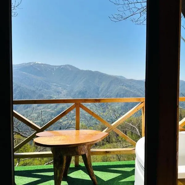 cottage panorama merisi，位于Dzentsmani的酒店