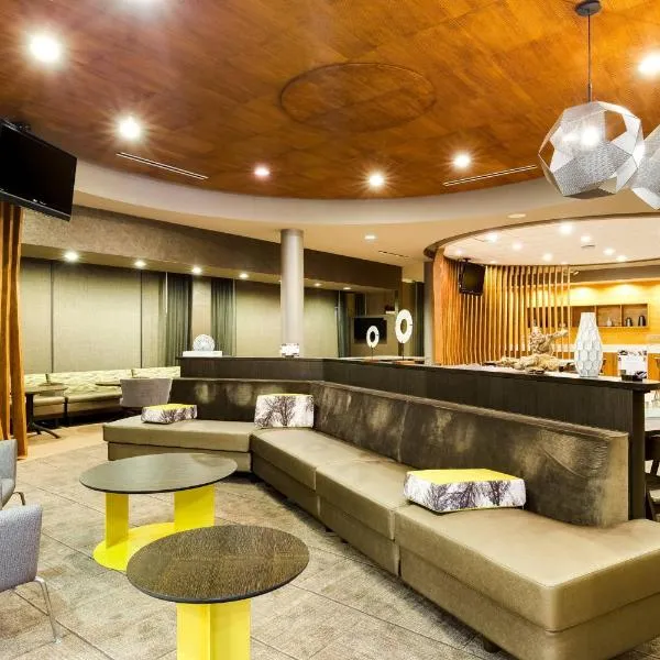 SpringHill Suites by Marriott McAllen Convention Center，位于La Joya的酒店