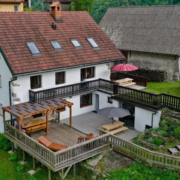Hisa Brdo Guesthouse，位于Šebrelje的酒店
