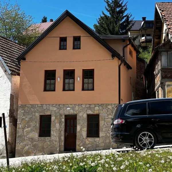 Villa Ruža Vareš，位于Vareš的酒店
