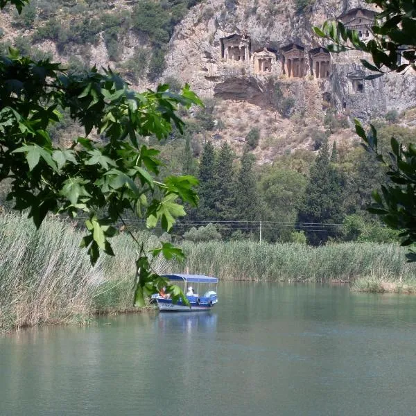 奥德潘锡永酒店，位于达利安的酒店