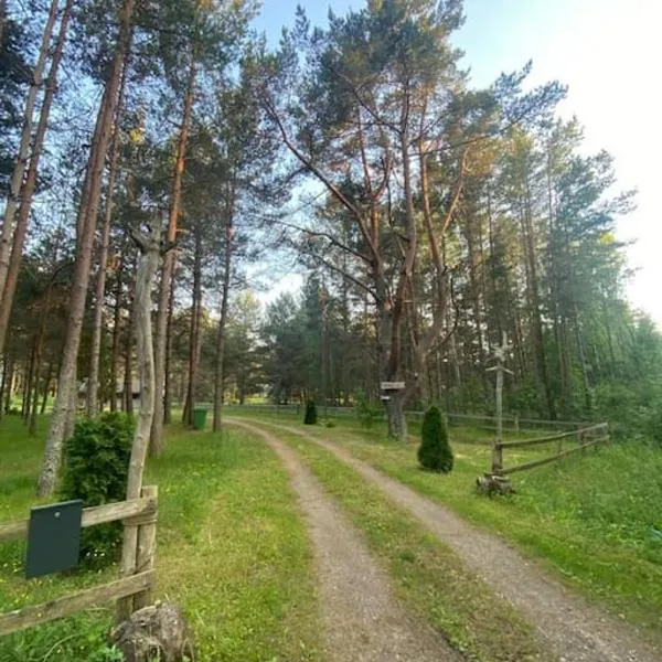 Charmante Ruheoase am Meer in Lettland，位于Spuņņi的酒店