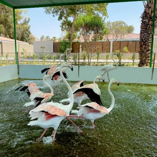 Flamingo Cottages，位于Al Budayyi‘的酒店